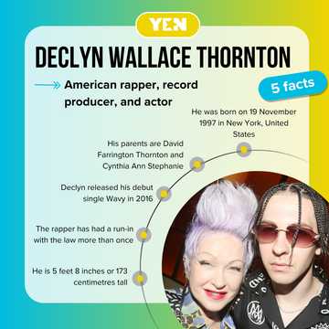 The story of Cyndi Lauper's son Declyn and his journey into music - YEN