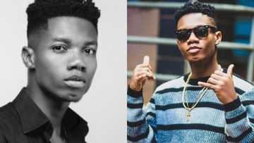 Ghanaian boy stuns the world; draws image that looks just like KiDi