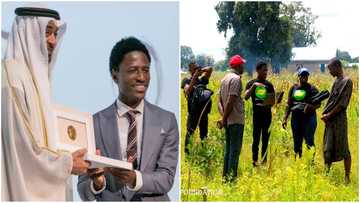 Meet Mustapha Diyaol-Haqq, the Ghanaian school dropout who won $600K for building app to detect disease in crops