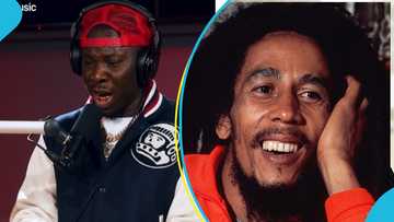 Stonebwoy sings his verse on Bob Marley's Buffalo soldier and gets hailed by fans