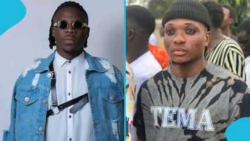 Webkid's brother appeals to Stonebwoy following arrest of Shatta Wale's fan