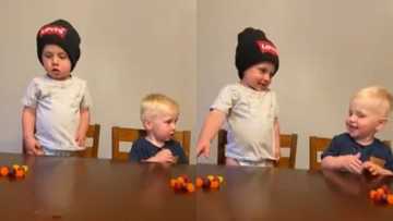 Lol: Adorable babies communicate in silence as they can't resist the candy temptation