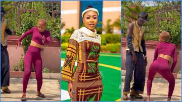 Akuapem Poloo sparks huge debate as she dances in unhajia-like manner