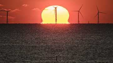Green energy investment tops $1 trillion, matches fossil fuels