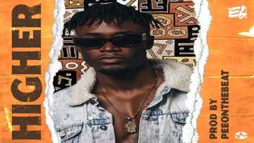 E.L – Download Higher (Prod. by PeeOnDa Beat): song, lyrics, reviews