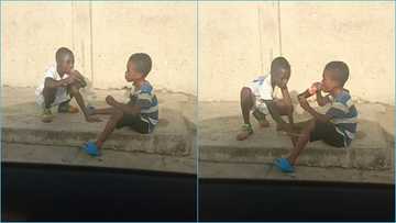 Ghanaian men stunned as they see two kids sharing food: "This is brotherly love"