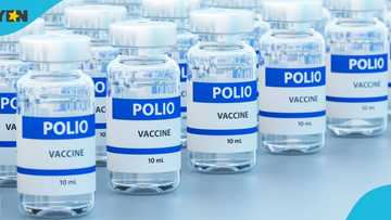 STMA aims to vaccinate 10,390 children under five years with IPV2 vaccine