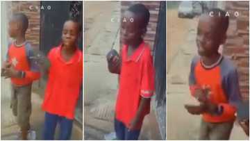 Talented boys break the internet with amazing freestyle as they drop bars like award-winning rappers