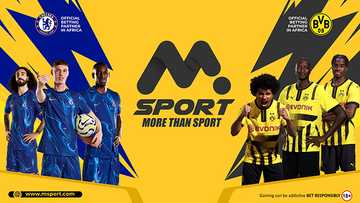 The Rise of MSport: Ghana’s Fastest-Growing Online Sports Betting Platform