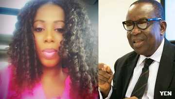 Interesting details drop of woman who leaked Kan Dapaah's video