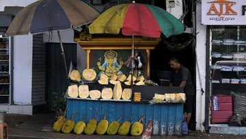 IMF resumes Sri Lanka bailout after China's debt deal
