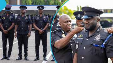IGP promotes 13 senior Police Officers for distinguished service