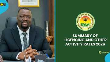 DVLA provides detailed breakdown of fees and charges for 2026