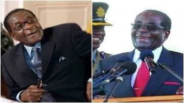 16 funny Robert Mugabe quotes on love, life, and relationships