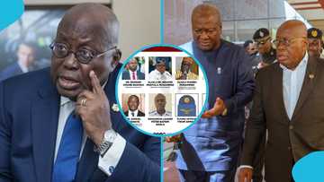 Akufo-Addo Calls John Mahama to Console Him as Omane Boamah, Murtala Mohammed, Die In Plane Crash