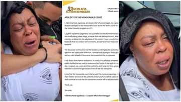 Afia Schwarzenegger Issues Official Apology To Court After Contempt Of Court Suit By Wontumi