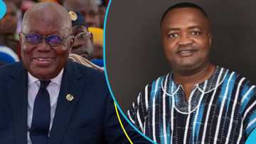 NPP MP blames Akufo-Addo's posturing for Bawumia's defeat in the 2024 elections