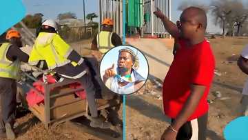 South African man sacks Zulu workers in Limpopo, calls them foreigners
