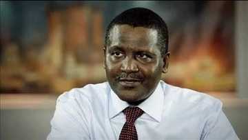 Dangote jumps to 117th in the latest Global Billionaires Index Ranking; Musk Tops