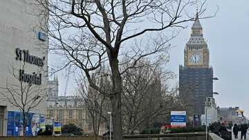 UK researchers cure man who had Covid for 411 days