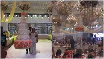 See packaging: Guests cheer as wedding cake descends from 'heaven' for couple to cut, video stirs reactions