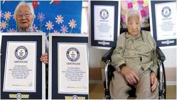 Japanese sisters certified as world’s oldest living twins at 107, many react as cute photos light up the net