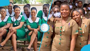 Salaries of nurses and midwives in Ghana in 2026: Full list of ranks and monthly earnings
