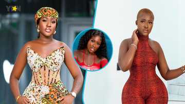 Fella Makafui causes a stir with her new photoshoot as she rocks strapless swimwear and stylish red fishnet