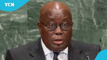 Akufo-Addo's bodyguard collapses during State Of The Nation Address