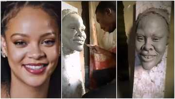 Sculpture of Rihanna in new video causes stir online, fans disagree that it is her