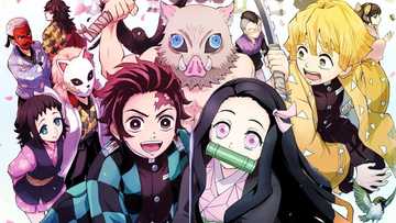 Is Demon Slayer on Netflix? Where to watch the Japanese manga series in English dub or subtitles