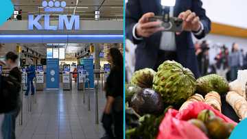 Netherlands shares list of food Items Ghanaians are not allowed to enter country with