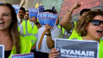 Flights cancelled in Spain due to Ryanair, EasyJet strikes