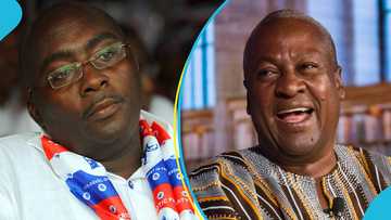 2 top UK research firms predict election 2024 victory for John Mahama