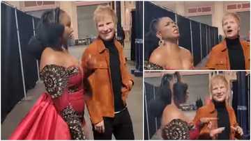 Jollof War: Yemi Alade angry as Ed Sheeran chooses Ghana jollof over Nigeria's