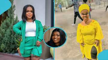 TikToker Sheedon details what she did that caused her sister to assault her