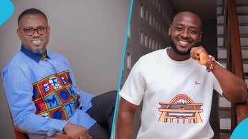 Nana Romeo replaces Abeiku Santana at Despite Media after bagging an appointment from Mahama