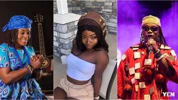 Meet Akosua Agyapong and Amandzeba Nat Brew's beautiful last daughter (photos)