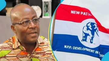 Ohene Ntow unfazed by expulsion from NPP, says Alan all the way