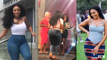Serwaa Amihere flaunts heavy curves in new video; fans say it's fake as her hip pad shows