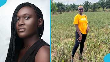 Ghanaian female agripreneur gives cost breakdown of pineapple farming business