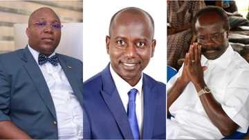 Paa Kwesi Nduom, Mark Opoku, among rich Ghanaians who lost their businesses in 2019