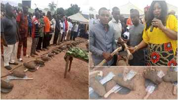 Outrage as local government official empowers farmers each with one yam, hoe, and cutlass