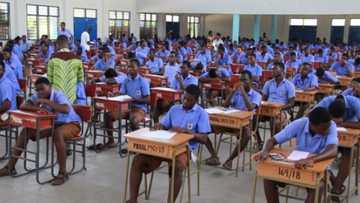 Students who sat 2019 WASSCE excelled in Mathematics and Integrated Science - WAEC