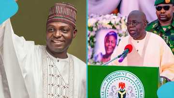 "Sensational": APC National Chairman bags major appointment from President Tinubu