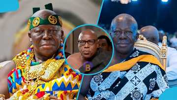 Techiman Traditional Council speaks after attack on Asantehene's convoy, drops more details