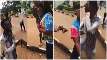 Female student gives her boyfriend hot slap as he proposed to her in public; video goes viral