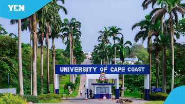 UCC postpones reopening date for some categories of students