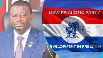 Re-collation: NPP's Agyemang-Prempeh declared winner of Ahafo Ano North parliamentary election