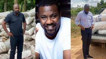 'Farmer' John Dumelo adds value to his harvested ginger to make 'ginger in bottle'